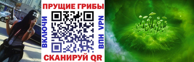 Псилоцибиновые грибы Psilocybine cubensis Звенигово